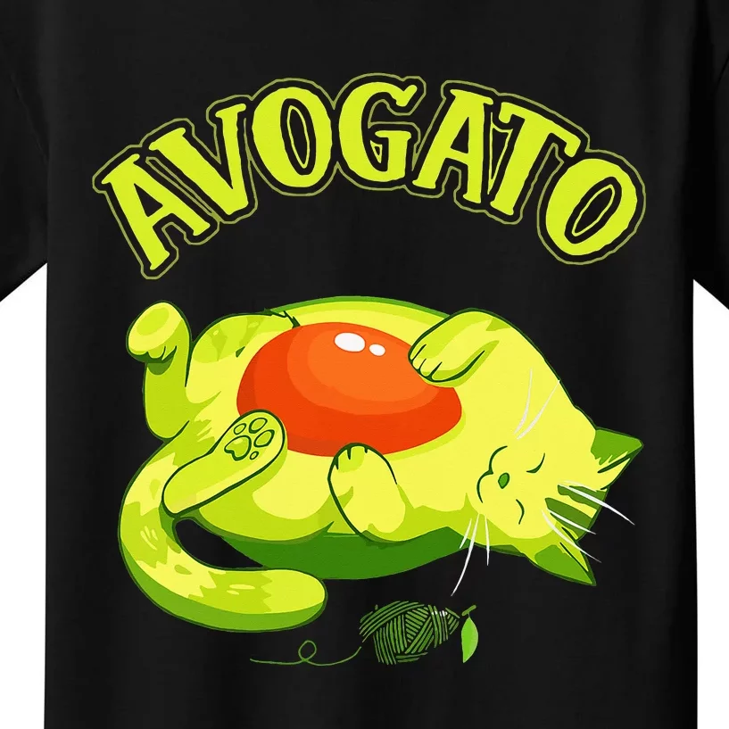 Cinco De Mayo Funny Avocado Mexico Meow Avogato Cat Kids T-Shirt