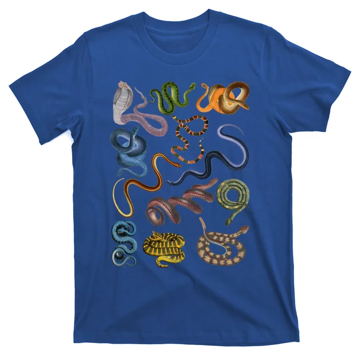 Collage Different Of Snakes Colorful Animal Gift For Lover Gift T-Shirt