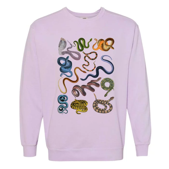 Collage Different Of Snakes Colorful Animal Gift For Lover Gift Garment-Dyed Sweatshirt