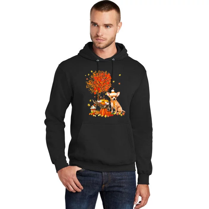 Chihuahua Dog Pumpkin Autumn Fall Maple Leaf Thanksgiving Tall Hoodie