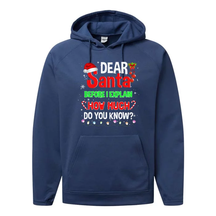 Christmas Dear Santa Before I Explain How Much Do You Know Gift Performance Fleece Hoodie