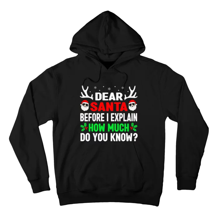 Christmas Dear Santa I Can Explain Hoodie