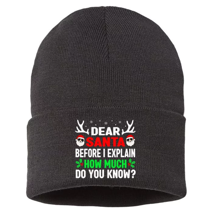 Christmas Dear Santa I Can Explain Sustainable Knit Beanie