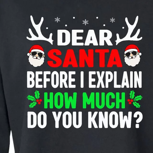 Christmas Dear Santa I Can Explain Cropped Pullover Crew