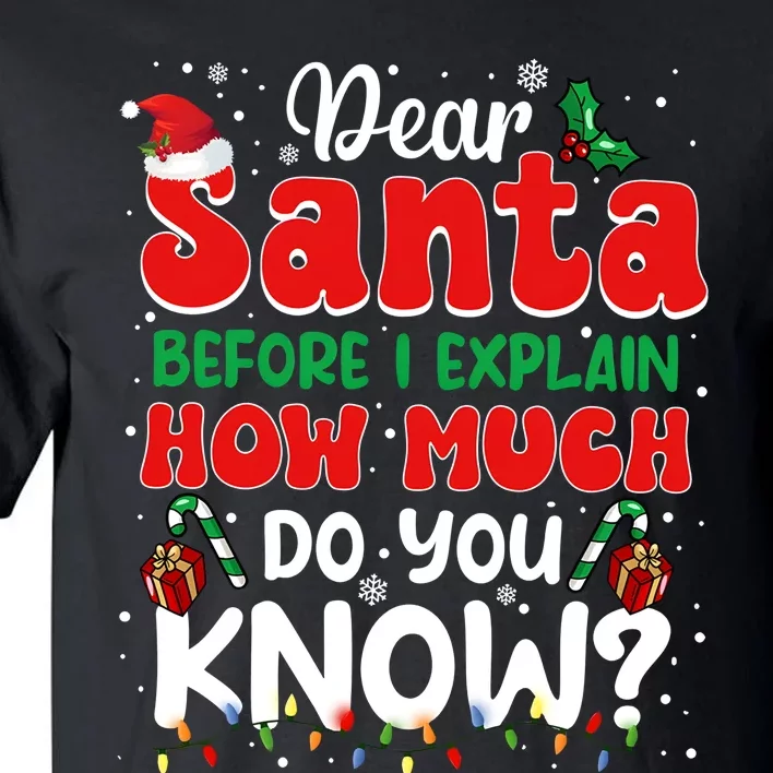 Christmas Dear Santa Before I Explain How Much Do You Know Tall T-Shirt