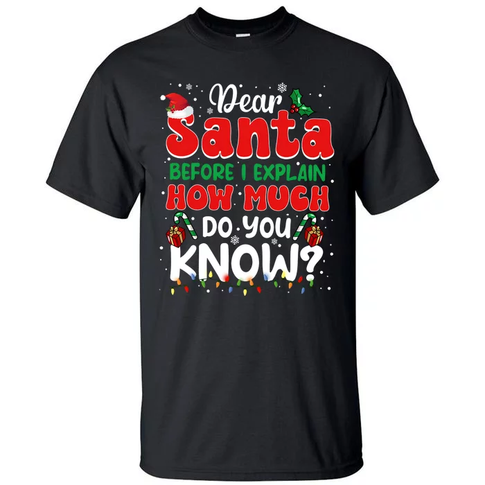 Christmas Dear Santa Before I Explain How Much Do You Know Tall T-Shirt