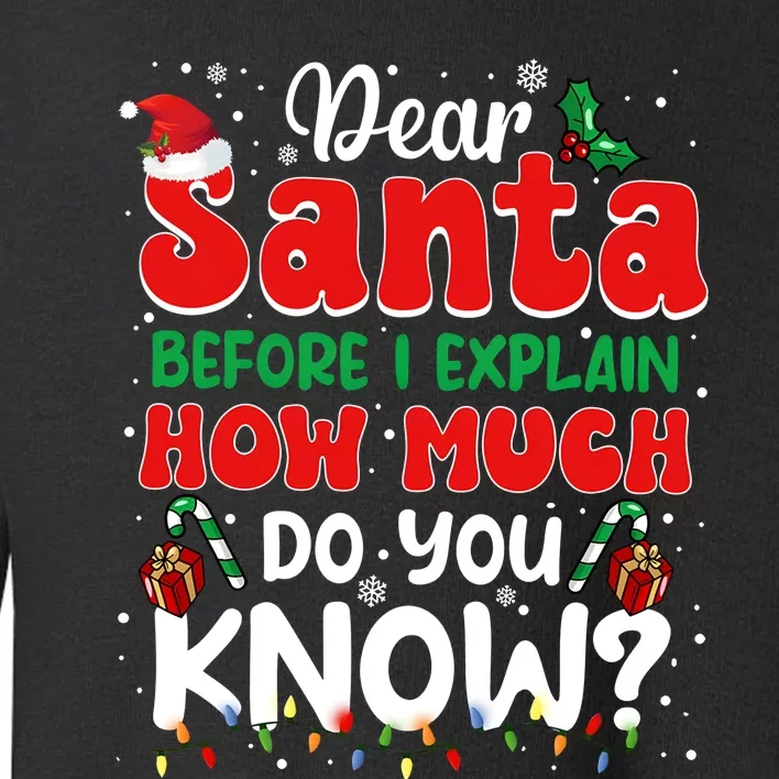 Christmas Dear Santa Before I Explain How Much Do You Know Toddler Sweatshirt