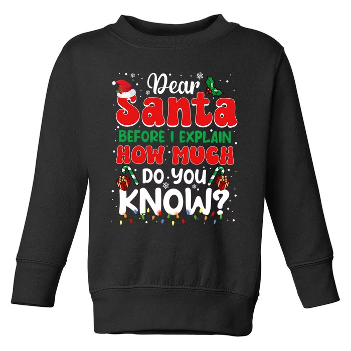 Christmas Dear Santa Before I Explain How Much Do You Know Toddler Sweatshirt