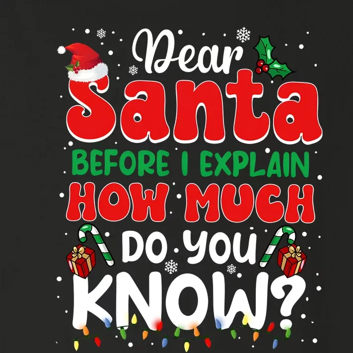 Christmas Dear Santa Before I Explain How Much Do You Know Toddler Long Sleeve Shirt