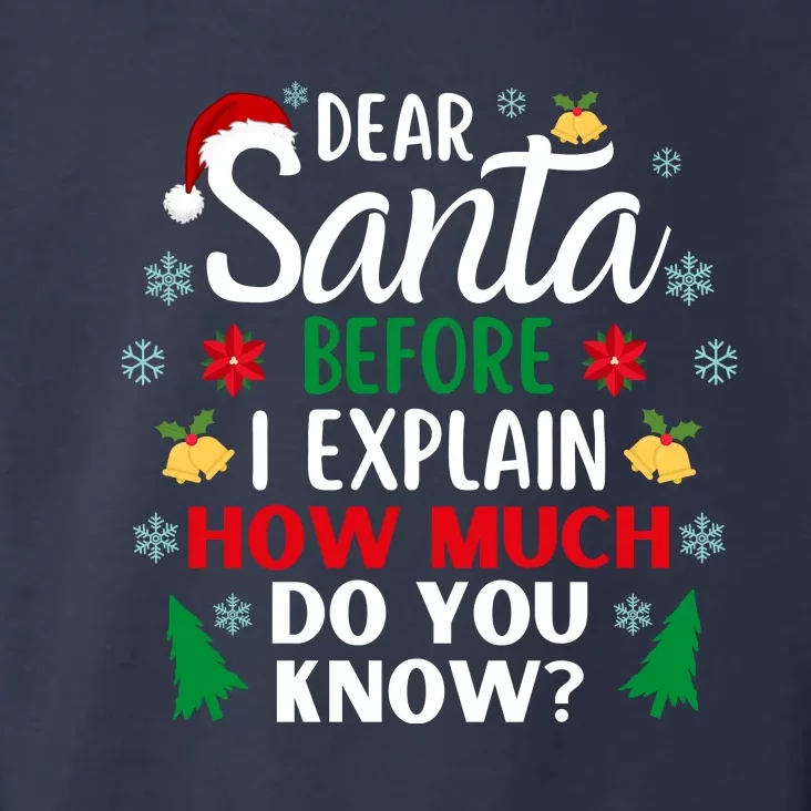 Christmas Dear Santa Before I Explain How Much Do You Know Toddler Hoodie