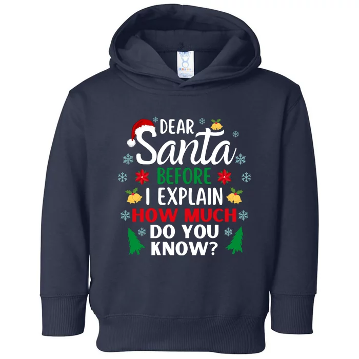 Christmas Dear Santa Before I Explain How Much Do You Know Toddler Hoodie