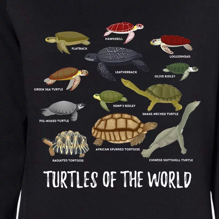 Celebrate Diversity Tortoise Stuff Apparel Sea Turtle Lovers Womens California Wash Sweatshirt