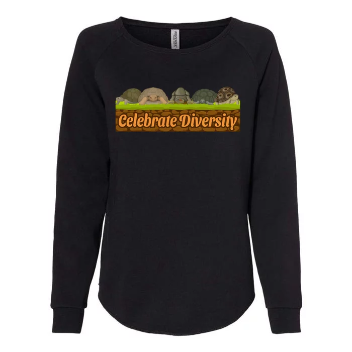 Celebrate Diversity Tortoise Stuff Sea Turtle Lovers Funny Gift Womens California Wash Sweatshirt