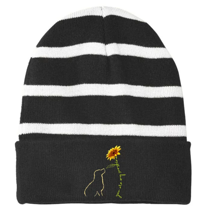 Cute Dog You Are My Sunshine Labrador Retriever Striped Beanie with Solid Band