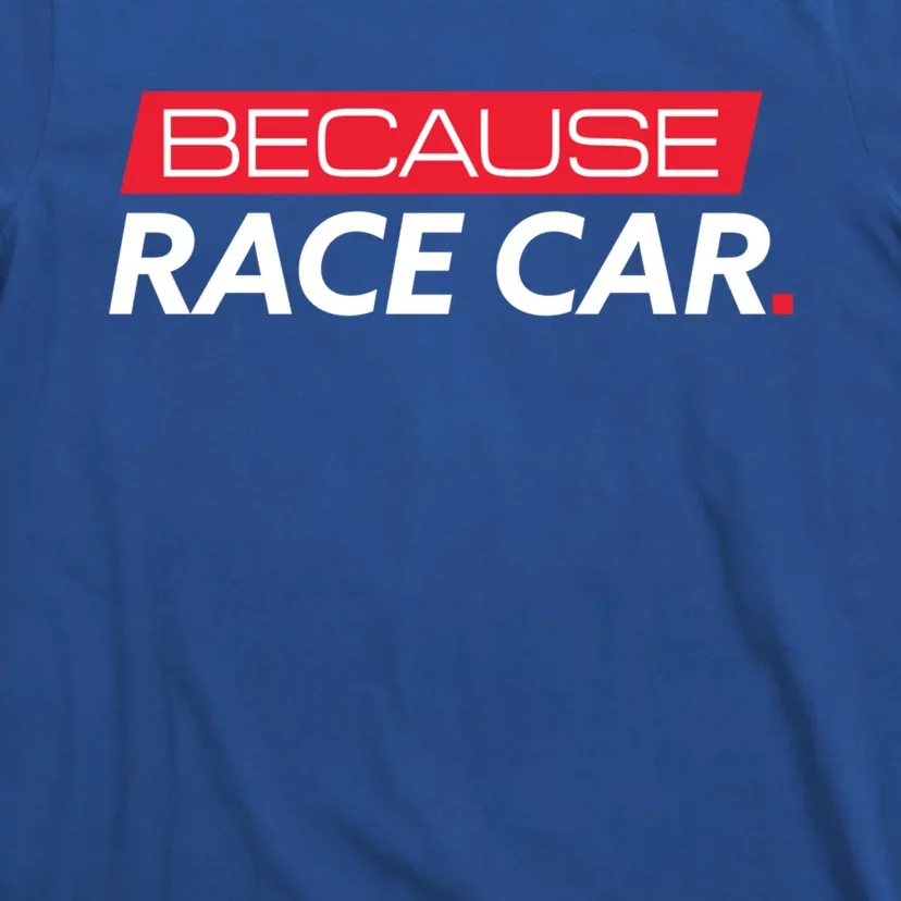 Car Enthusiast And Mechanic Meaningful Gift Meaningful Gift Racecar Cool Gift T-Shirt