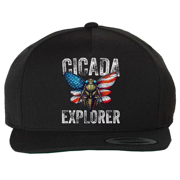 Cicada Explorer Funny Summer 2024 Insect Invasion Vintage Wool Snapback Cap