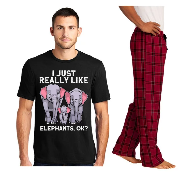 Cute Elephant For Women Land Animal Elephant Lover Pajama Set