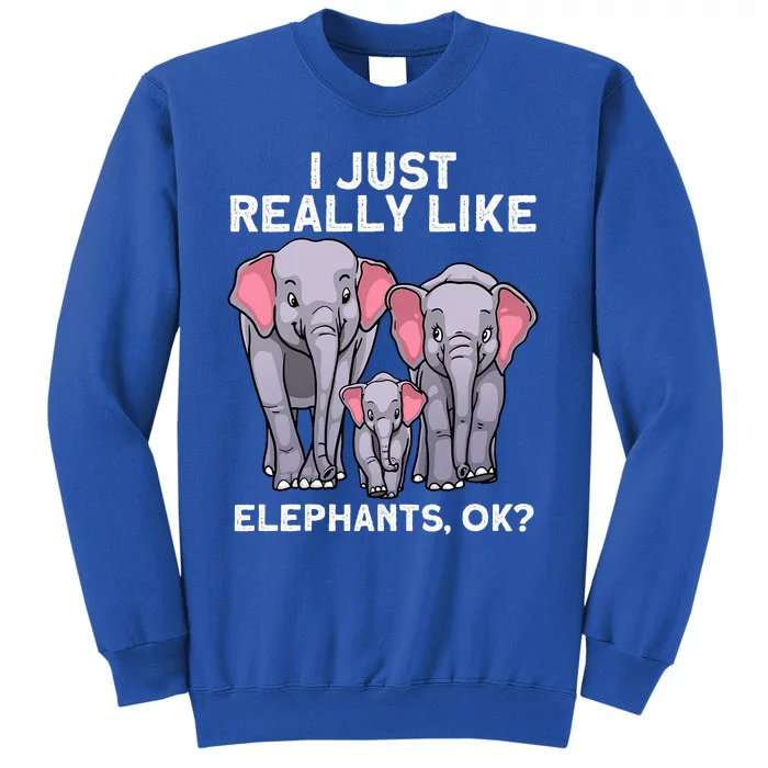 Cute Elephant For Women Land Animal Elephant Lover Sweatshirt