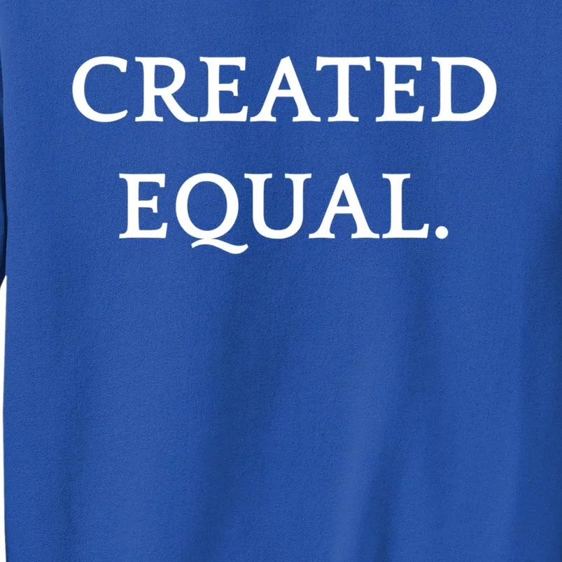 Created Equal Pay Pride Hu Rights Equality Activist Gift Sweatshirt