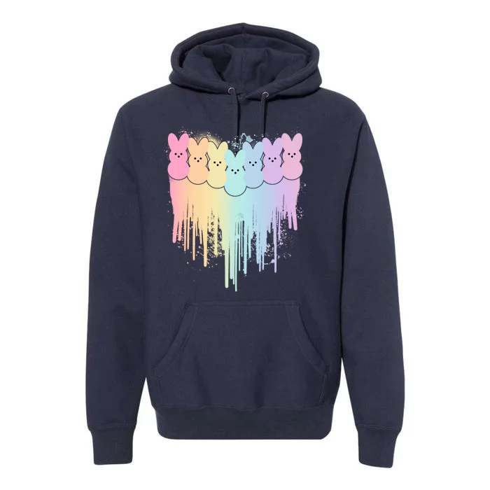 Cute Easter Painted Spring Colors Peeps Premium Hoodie