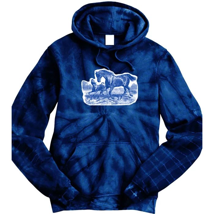 Classy Elegant Rustic Blue French Country Toile Horses Pattern Tie Dye Hoodie