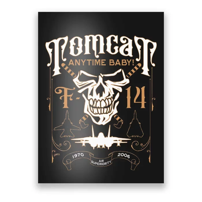 Classic F 14 Tomcat Military Fighter Jet Skull Poster