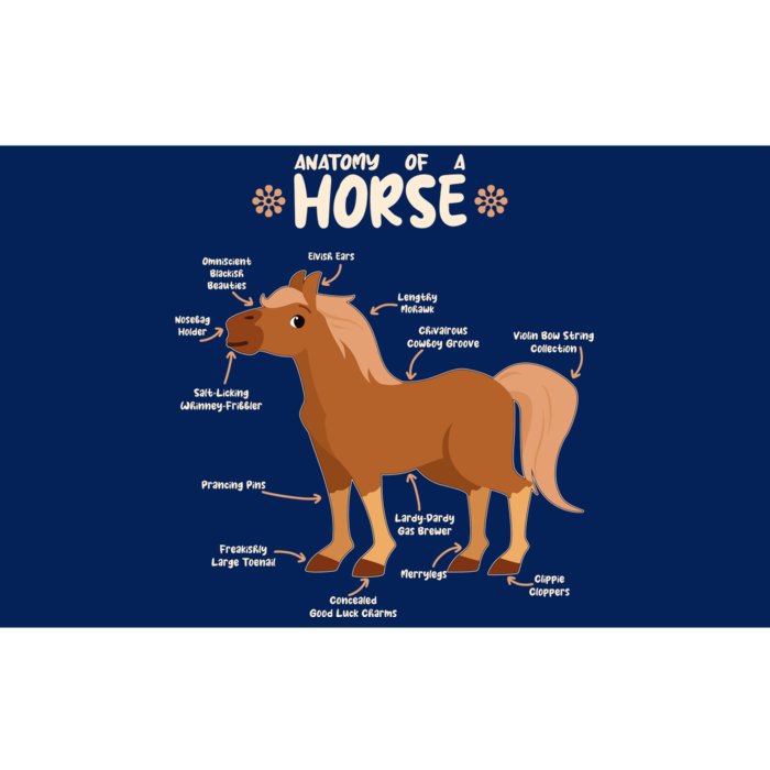 Cute Funny Anatomy Of A Horse Diagram Bumper Sticker