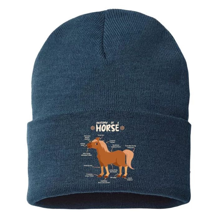 Cute Funny Anatomy Of A Horse Diagram Sustainable Knit Beanie