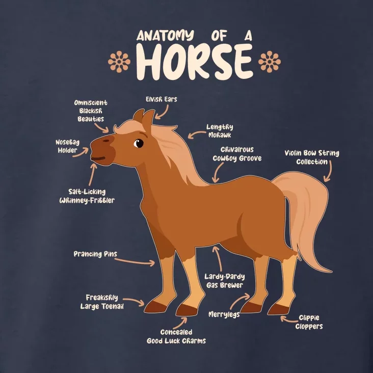 Cute Funny Anatomy Of A Horse Diagram Toddler Hoodie