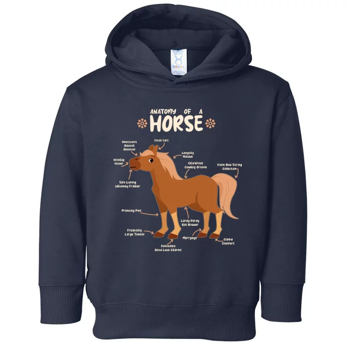 Cute Funny Anatomy Of A Horse Diagram Toddler Hoodie