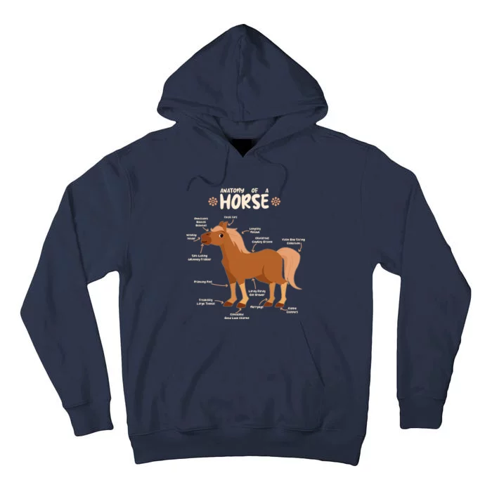 Cute Funny Anatomy Of A Horse Diagram Tall Hoodie