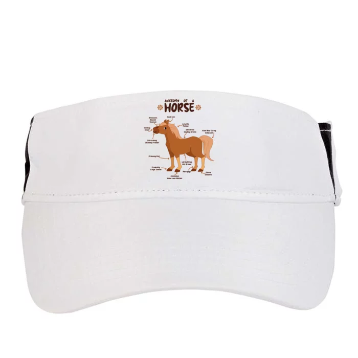 Cute Funny Anatomy Of A Horse Diagram Adult Drive Performance Visor