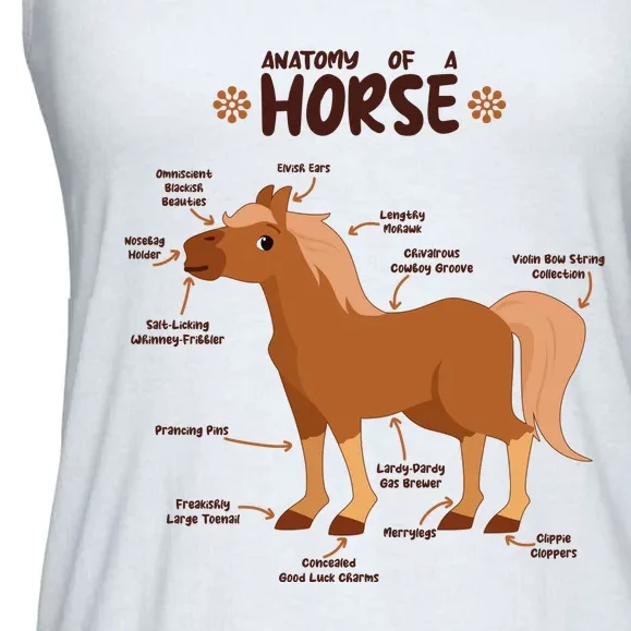 Cute Funny Anatomy Of A Horse Diagram Ladies Essential Flowy Tank