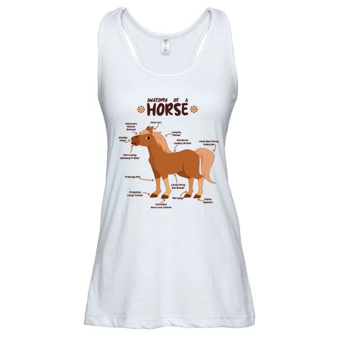 Cute Funny Anatomy Of A Horse Diagram Ladies Essential Flowy Tank