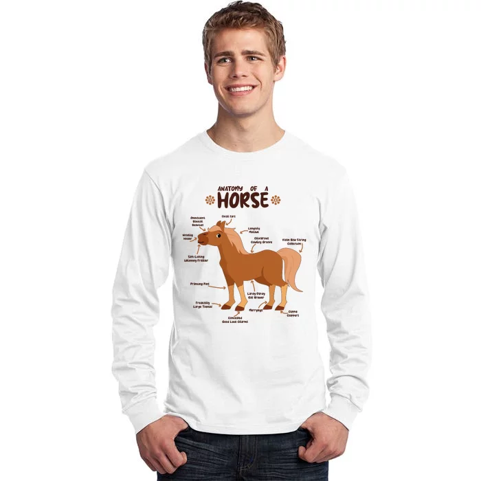 Cute Funny Anatomy Of A Horse Diagram Tall Long Sleeve T-Shirt