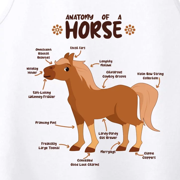 Cute Funny Anatomy Of A Horse Diagram Performance Tank