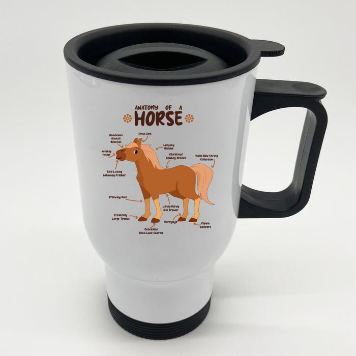 Cute Funny Anatomy Of A Horse Diagram Front & Back Stainless Steel Travel Mug