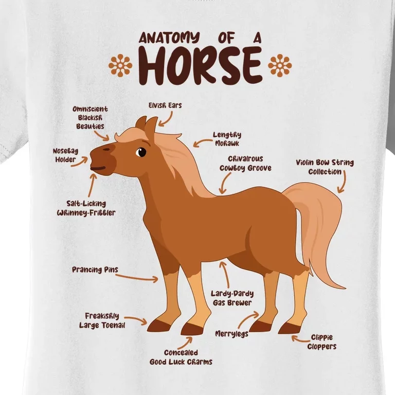 Cute Funny Anatomy Of A Horse Diagram Women's T-Shirt