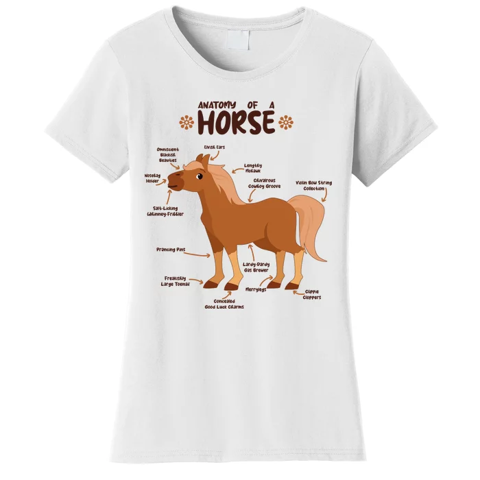 Cute Funny Anatomy Of A Horse Diagram Women's T-Shirt