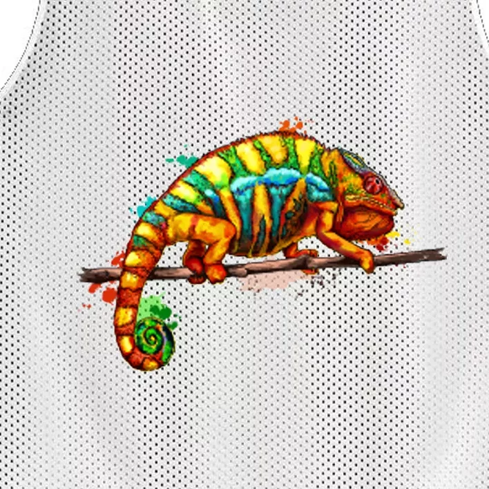 Chameleon From A Splash Mesh Reversible Basketball Jersey Tank