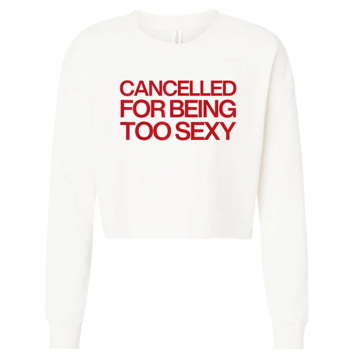 Cancelled For Being Too Sexy Cropped Pullover Crew