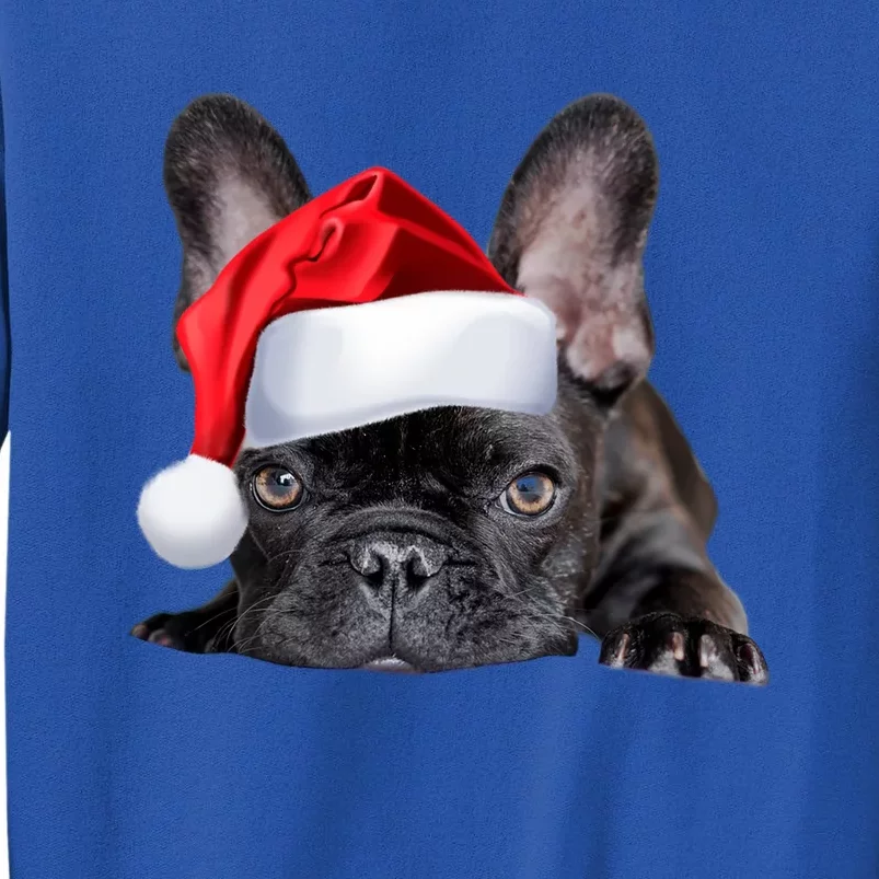 Cute French Bulldog Santa Hat Frenchie Image Christmas Gift Funny Gift Sweatshirt