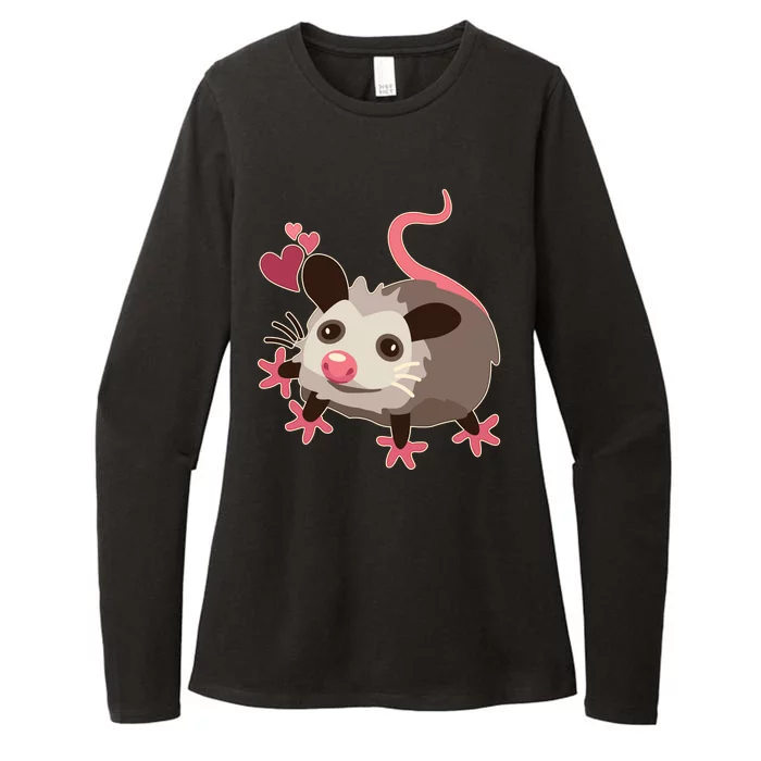 Cute Funny Baby Opossum Womens CVC Long Sleeve Shirt