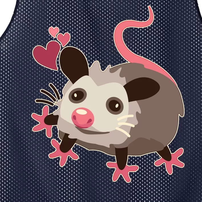 Cute Funny Baby Opossum Mesh Reversible Basketball Jersey Tank