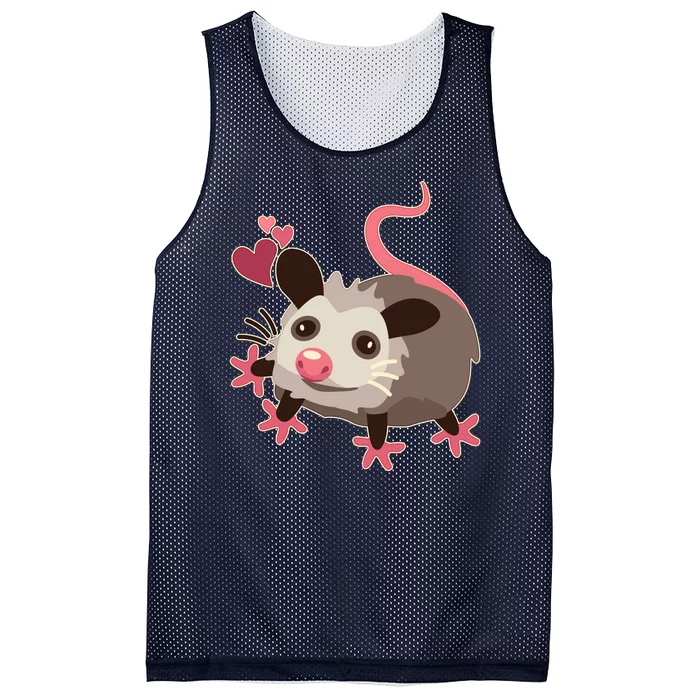 Cute Funny Baby Opossum Mesh Reversible Basketball Jersey Tank