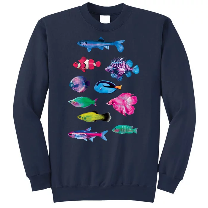 Colorful Fishes Sweatshirt