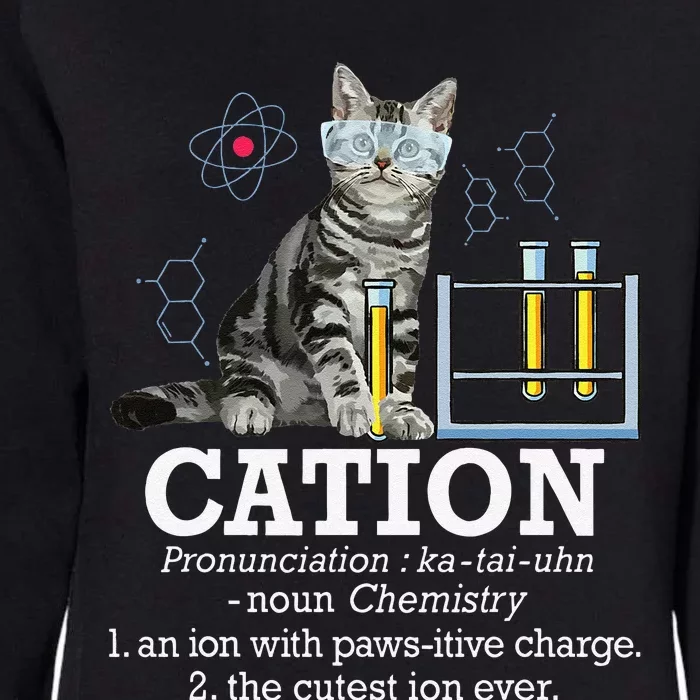 Cation Funny Chemistry Humor Science Teacher Cat Pun Womens California Wash Sweatshirt