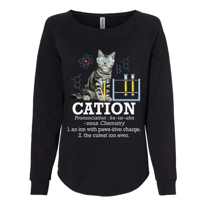 Cation Funny Chemistry Humor Science Teacher Cat Pun Womens California Wash Sweatshirt