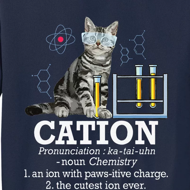 Cation Funny Chemistry Humor Science Teacher Cat Pun Tall Sweatshirt