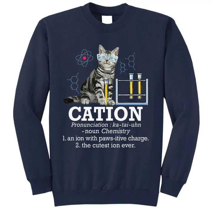 Cation Funny Chemistry Humor Science Teacher Cat Pun Tall Sweatshirt